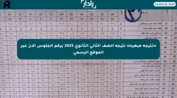 «نتيجة مبهرة» نتيجة الصف الثاني الثانوي 2025 برقم الجلوس الآن عبر الموقع الرسمي